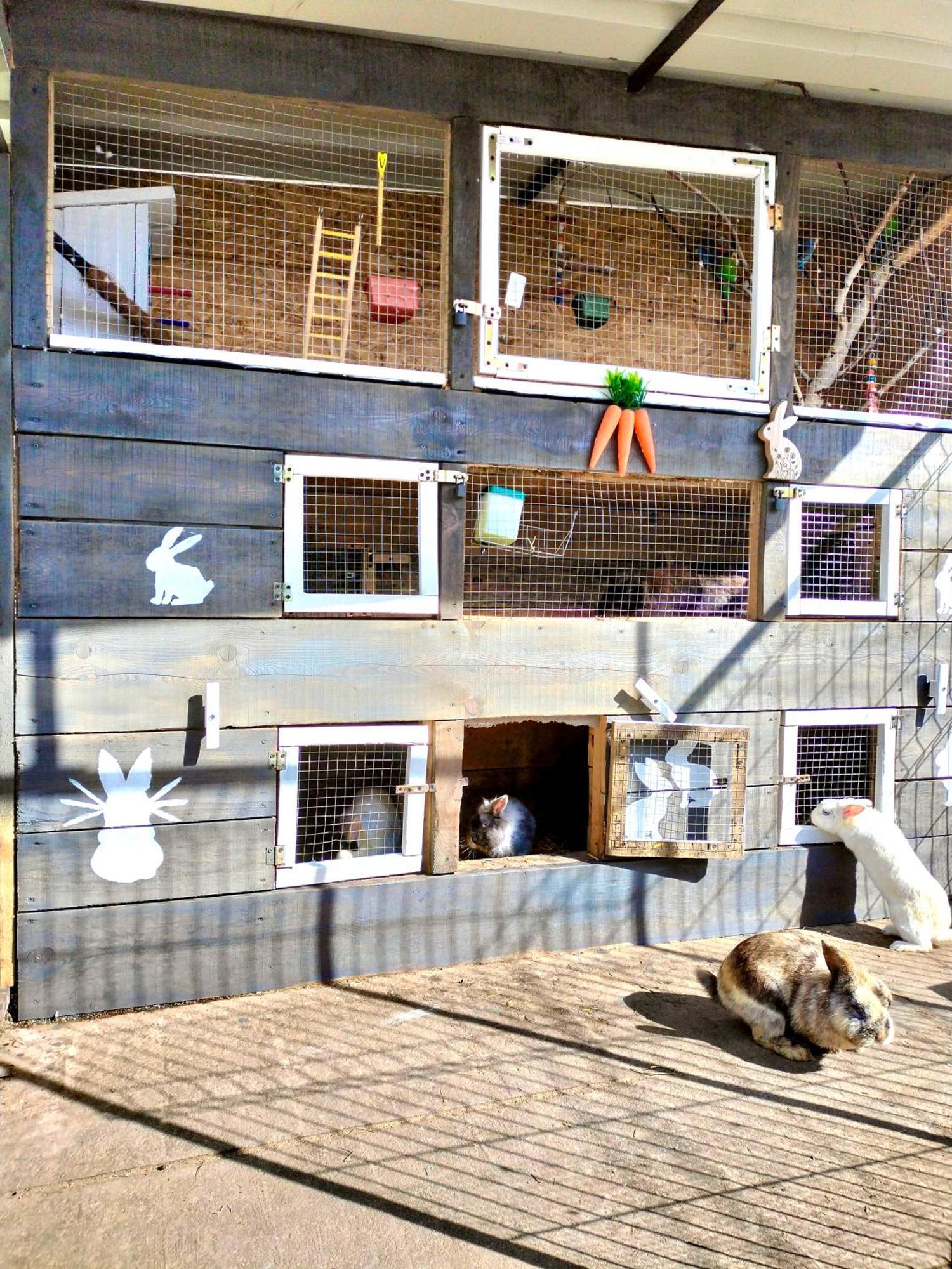 Agroturystyka Jodlowa - Rodzinne Apartamenty W Centrum Gor Swietokrzyskich - Sala Zabaw, Zwierzeta, Bilard Krajno-Zagorze エクステリア 写真